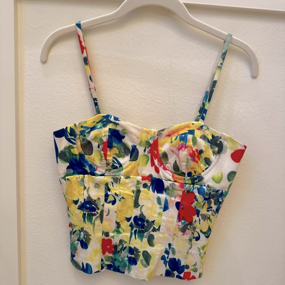 Alice and Olivia corset